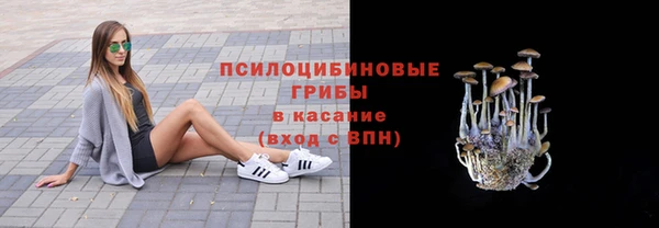 прущая мука Медвежьегорск