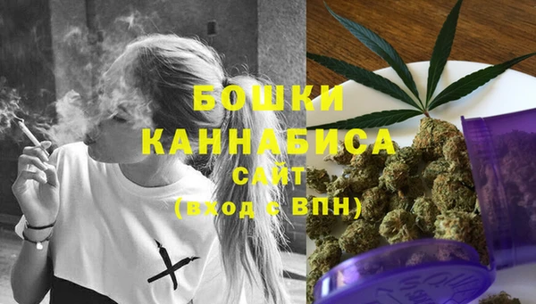 хмурый Мегион