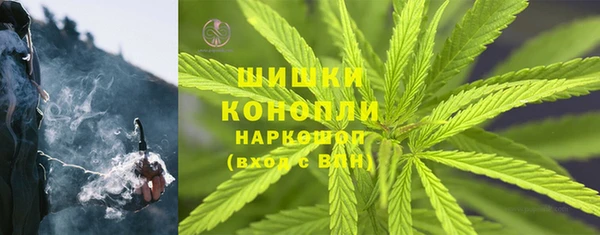 хмурый Мегион