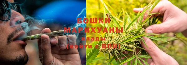 хмурый Мегион