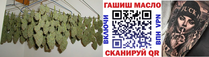 omg онион  Курск  ТГК гашишное масло  где найти  