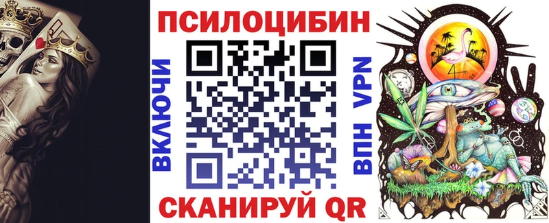 цены   Курск  Галлюциногенные грибы Psilocybe 